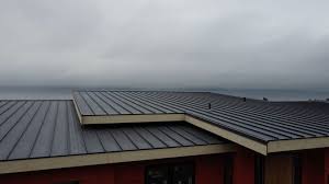 Best Storm Damage Roof Repair  in Kula, HI